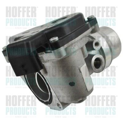 Throttle Body HOFFER 7519396