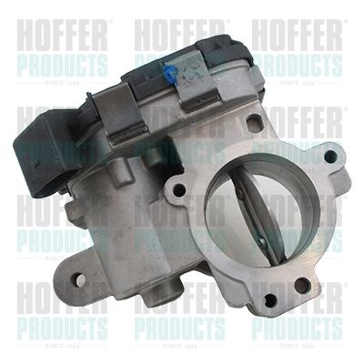 Throttle Body HOFFER 7519459R