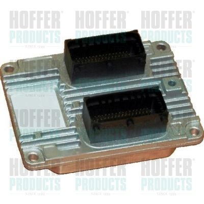 HOFFER 7540066 Control Unit, engine management