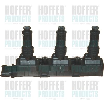 Ignition Coil HOFFER 8010483