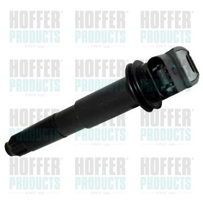 HOFFER 8010698 Ignition Coil