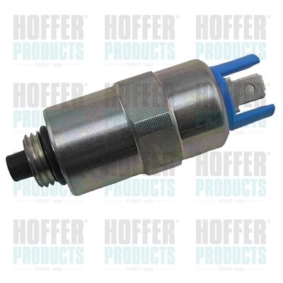 Fuel Cut-off, injection system HOFFER 8029004