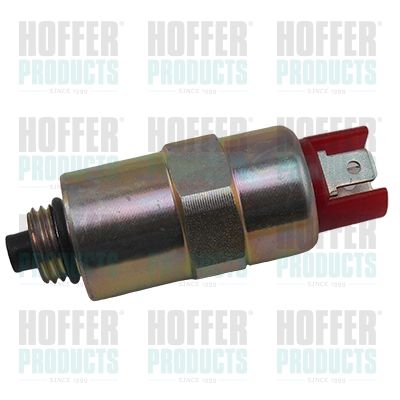 Fuel Cut-off, injection system HOFFER 8029005