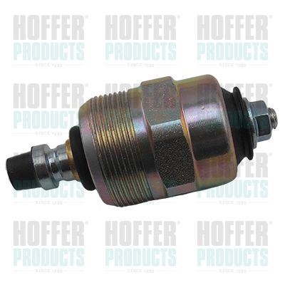 Fuel Cut-off, injection system HOFFER 8029015