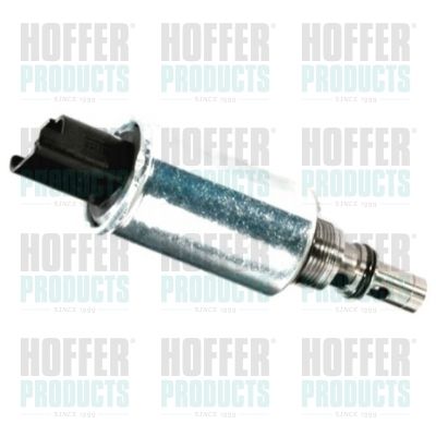 Control Valve, fuel quantity (common rail system) HOFFER 8029123
