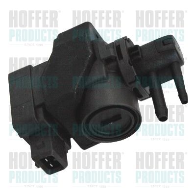 HOFFER 8029265 Pressure Converter