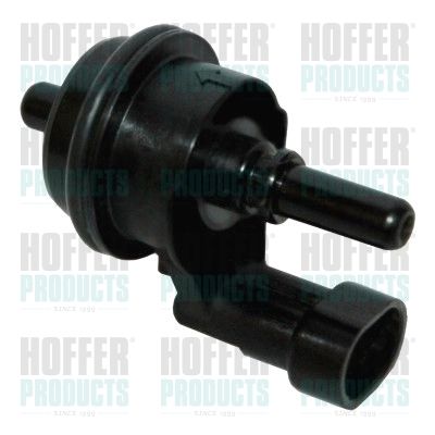 Breather Valve, fuel tank HOFFER 8029306