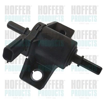 Valve, injection system HOFFER 8029326