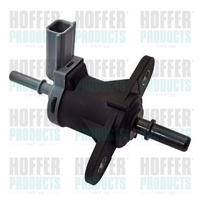 Valve, injection system HOFFER 8029327