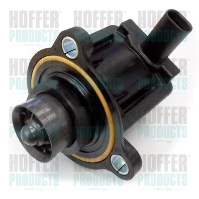 Recirculating Air Valve, charger HOFFER 8029335