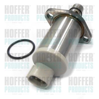 Valve, injection system HOFFER 8029341