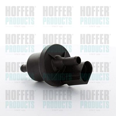 Breather Valve, fuel tank HOFFER 8029367