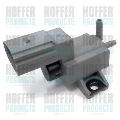 Valve, secondary air system HOFFER 8029369