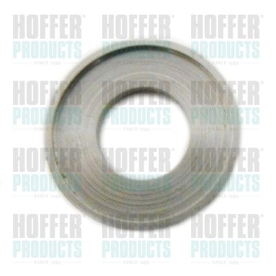 Seal Ring, nozzle holder HOFFER 8029387