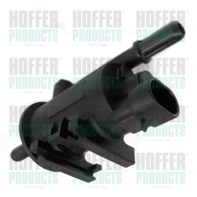 Valve, fuel supply system HOFFER 8029393