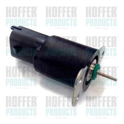 Fuel Cut-off, injection system HOFFER 8029409