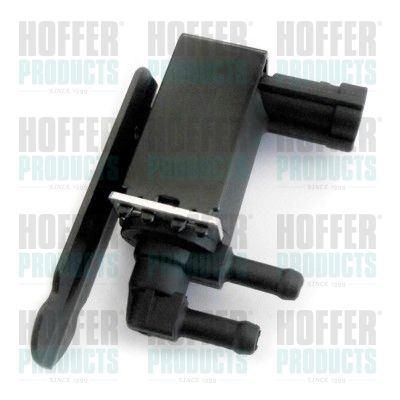 Valve HOFFER 8029459