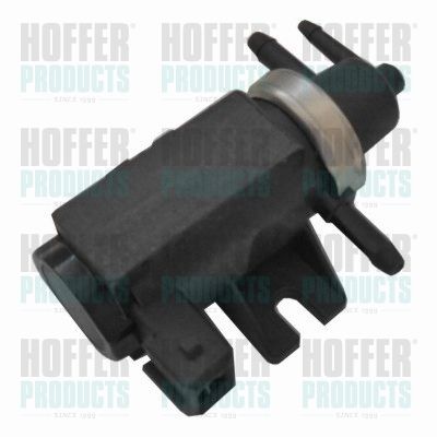 Control Valve, air intake HOFFER 8029470