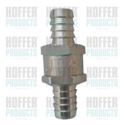 Valve, injection system HOFFER 8029596