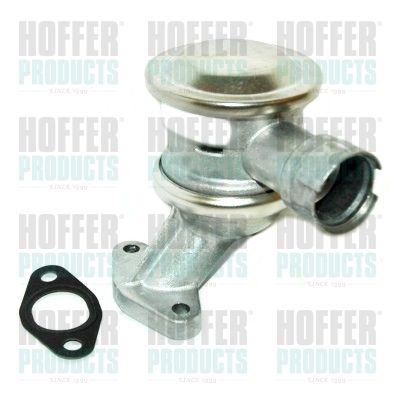 HOFFER 8029611 Valve, secondary air system