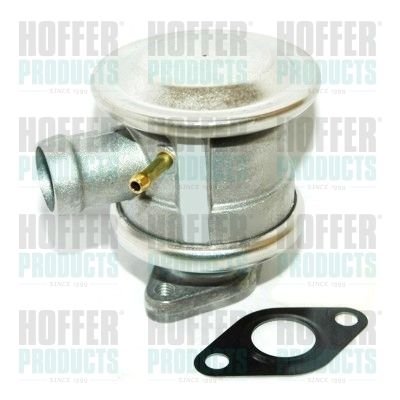 Valve, secondary air pump system HOFFER 8029612