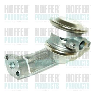 Valve, secondary air system HOFFER 8029613