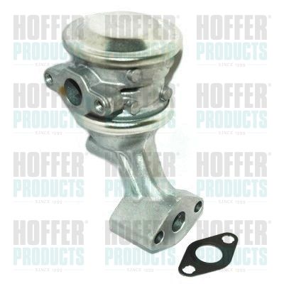 Valve, secondary air system HOFFER 8029614