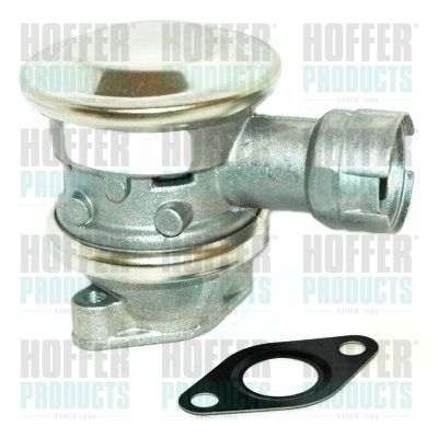 Valve, secondary air system HOFFER 8029615