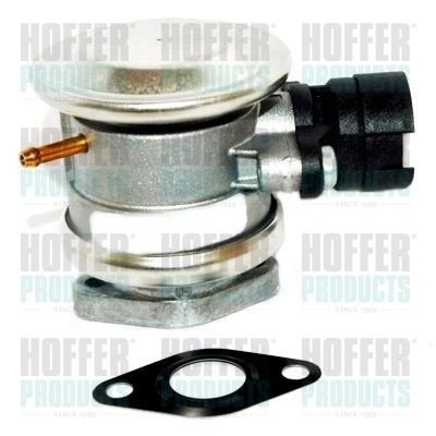 Valve, secondary air pump system HOFFER 8029616
