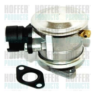 Valve, secondary air pump system HOFFER 8029617