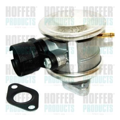 Valve, secondary air pump system HOFFER 8029618