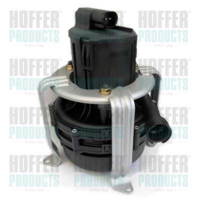 Secondary Air Pump HOFFER 8029623