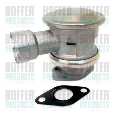HOFFER 8029646 Valve, secondary air system
