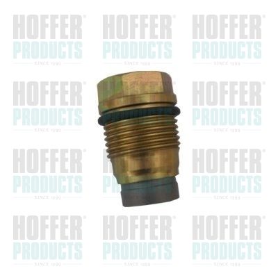 Pressure Relief Valve, common rail system HOFFER 8029700