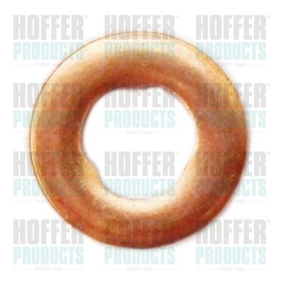 Seal Ring, nozzle holder HOFFER 8029705