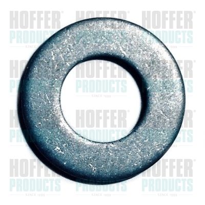 Seal Ring, nozzle holder HOFFER 8029708