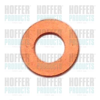 Seal Ring, nozzle holder HOFFER 8029711
