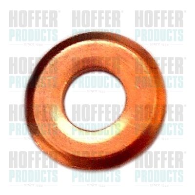 Seal Ring, nozzle holder HOFFER 8029715