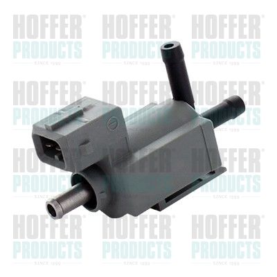 HOFFER 8029770 Control Valve, air intake