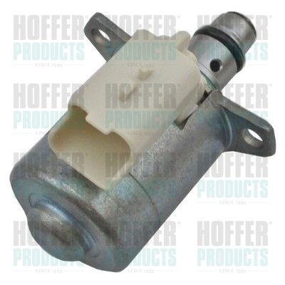 Pressure Control Valve, common rail system HOFFER 8029777