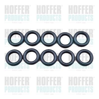 Assortment, O-rings HOFFER 8029811