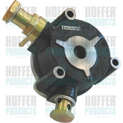 Vacuum Pump, braking system HOFFER 8091090