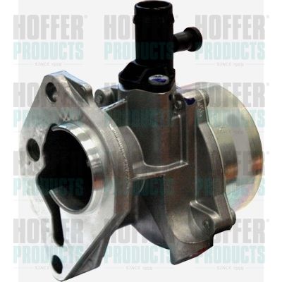 Vacuum Pump, braking system HOFFER 8091104