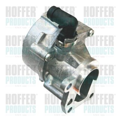 Vacuum Pump, braking system HOFFER 8091157