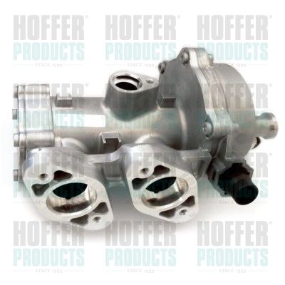 Vacuum Pump, braking system HOFFER 8091182