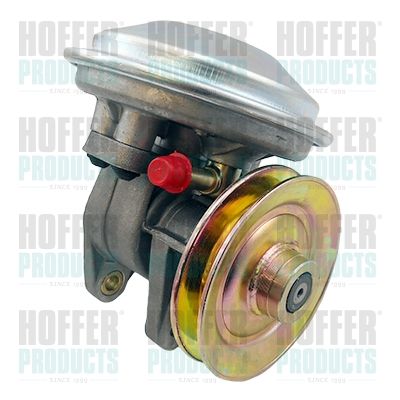 Vacuum Pump, braking system HOFFER 8091189
