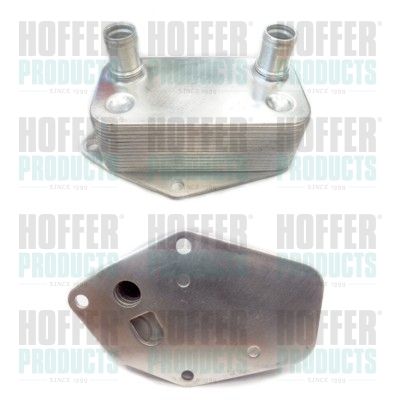 Oil Cooler, engine oil HOFFER 8095030