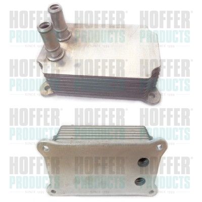 Oil Cooler, engine oil HOFFER 8095041