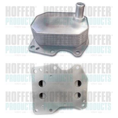 Oil Cooler, engine oil HOFFER 8095094