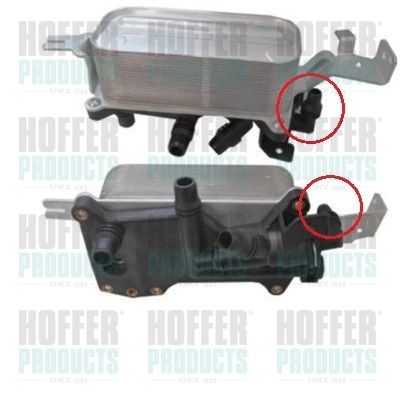 Oil Cooler, engine oil HOFFER 8095180